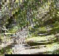 Euglah Rock Walking Track - Accommodation Rockhampton