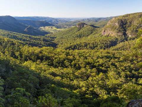 Gold Coast Hinterland Great Walk - Accommodation Rockhampton 0