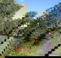 Kepwari Trails Wetland Wonderland - Accommodation Rockhampton