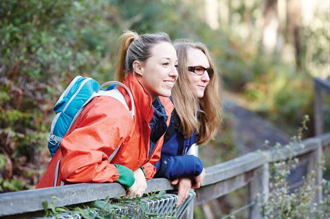 Kinglake National Park - Accommodation Rockhampton 2