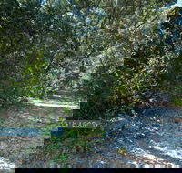 Lillypilly loop trail - Accommodation Rockhampton