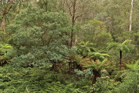 Lind National Park - Accommodation Rockhampton 0