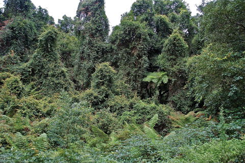 Lind National Park - Accommodation Rockhampton 1