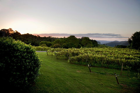 Montville - Accommodation Rockhampton 1