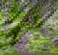 Mount Canobolas State Conservation Area - Accommodation Rockhampton