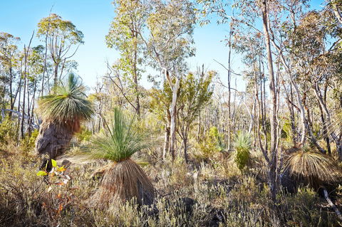 Mt Glenrowan Lookout Walk - Accommodation Rockhampton 2
