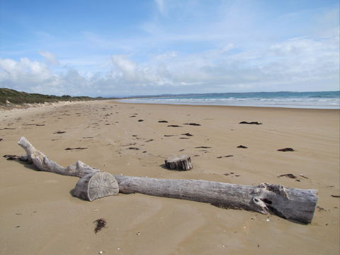 Narawntapu National Park - Accommodation Rockhampton 2