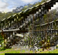 Noojee Trestle Bridge - Accommodation Rockhampton