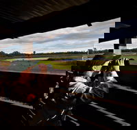 Reed Beds Bird Hide Boardwalk - Accommodation Rockhampton