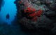 Stepping Stones Dive Site - thumb 0