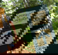 Sunshine Coast Hinterland Great Walk - Accommodation Rockhampton