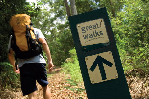 Sunshine Coast Hinterland Great Walk - Accommodation Rockhampton 0