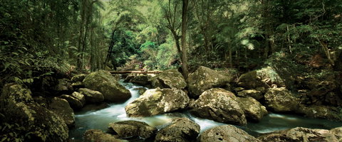 Sunshine Coast Hinterland Great Walk - Accommodation Rockhampton 1