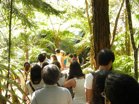 Tamborine Mountain Glow Worm Tours - Accommodation Rockhampton 1