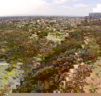The Pines Flora and Fauna Reserve - Accommodation Rockhampton