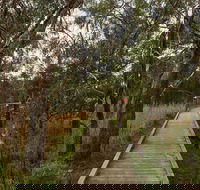 The Briars Park Walking Trails - Accommodation Rockhampton
