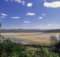 Wallagoot Lake Picnic Area and Boat Ramp - Accommodation Rockhampton