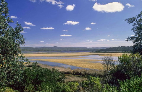Wallagoot Lake Picnic Area And Boat Ramp - Accommodation Rockhampton 0