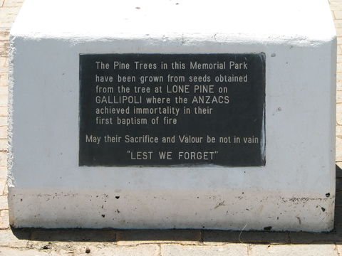 War Memorial And Heroes Avenue, Roma - Accommodation Rockhampton 1