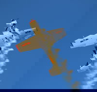Warbird Aerial Adventures - Accommodation Rockhampton