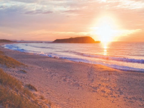 Warilla Beach: Shellharbour - Accommodation Rockhampton 0