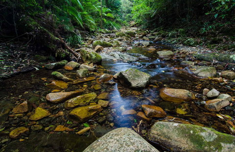 Willi Willi National Park - Accommodation Rockhampton 0