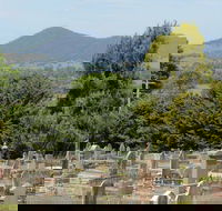 Yackandandah Cemetery - Accommodation Rockhampton