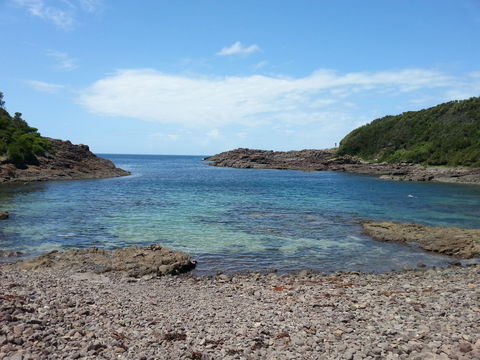 Bass Point Reserve - Accommodation Rockhampton 0