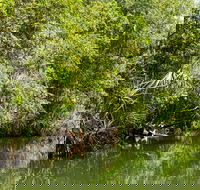 Berry Springs Nature Park - Accommodation Rockhampton