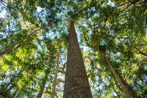 Big Sky National Parks - Accommodation Rockhampton 0