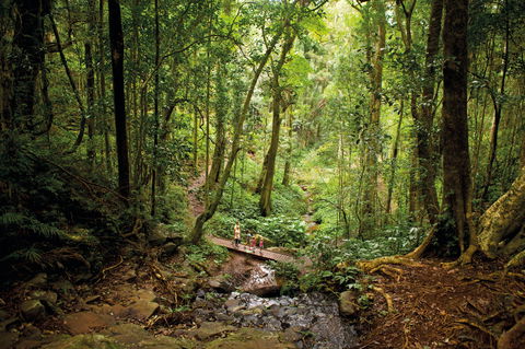 Big Sky National Parks - Accommodation Rockhampton 1