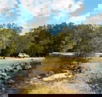 Brunswick River Picnic Area - Accommodation Rockhampton
