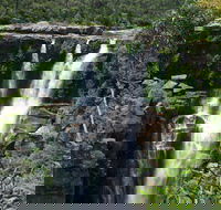 Carrington Falls - Accommodation Rockhampton