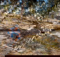 Cycle Mogo State Forest - Accommodation Rockhampton