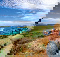 Great Ocean Drive - Accommodation Rockhampton