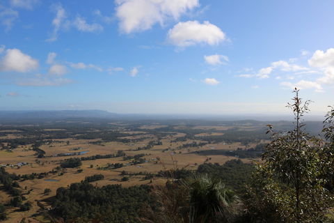 Heaton State Forest - Watagan Mountains - Accommodation Rockhampton 0