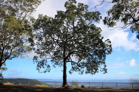Heaton State Forest - Watagan Mountains - Accommodation Rockhampton 2