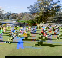 Hello Koalas Sculpture Trail - Accommodation Rockhampton