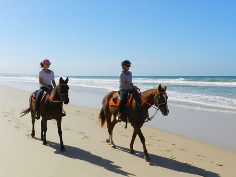 Inskip Peninsula Recreation Area - Accommodation Rockhampton 2