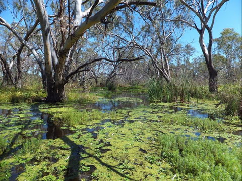 Macquarie Valley Trails - Accommodation Rockhampton 0