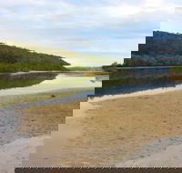 Mangrove Walk - Accommodation Rockhampton