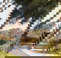 Meningie Walking and Cycling Trails - Accommodation Rockhampton