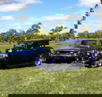 Moree Motor Enthusiasts - Accommodation Rockhampton