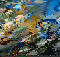 Norseman - Accommodation Rockhampton