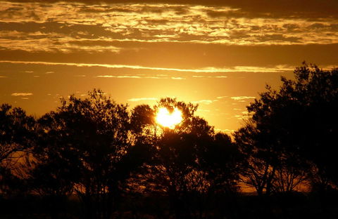 Paroo-Darling National Park - Accommodation Rockhampton 0