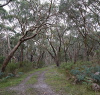 Pink Line and Loop Trail - Mountain Biking - Accommodation Rockhampton