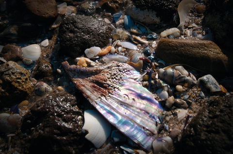 Point Cook Marine Sanctuary - Accommodation Rockhampton 1