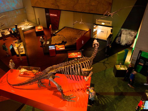 Queensland Museum - Accommodation Rockhampton 2