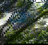 Rainforest Walking Track Hat Head National Park - Accommodation Rockhampton
