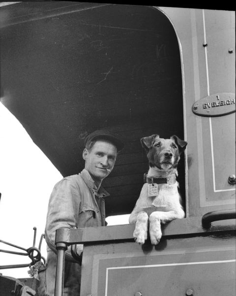 Railway Temora - Accommodation Rockhampton 0